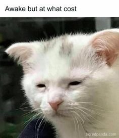 Awake but at what cost