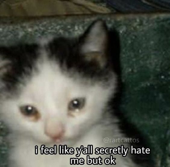 I feel like y'all secretly hate me but ok