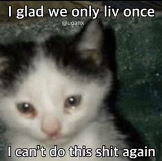 I glad we only liv once i can't do this shit again