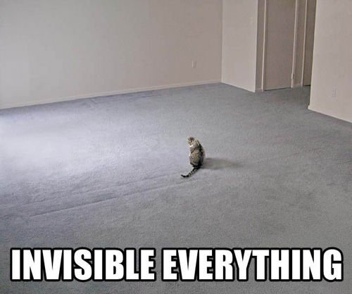Invisible Bike Cat