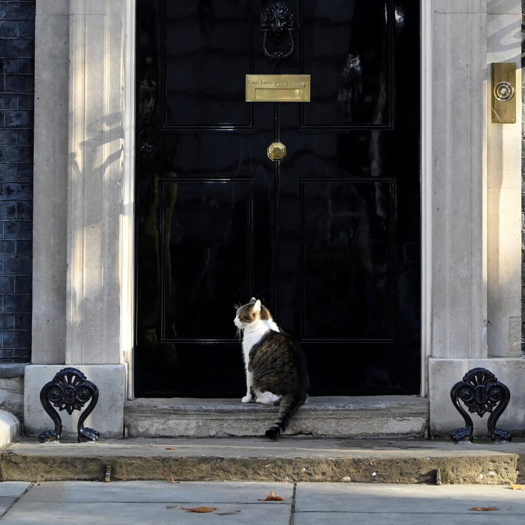 Larry - Chief Mouser to the Cabinet Office