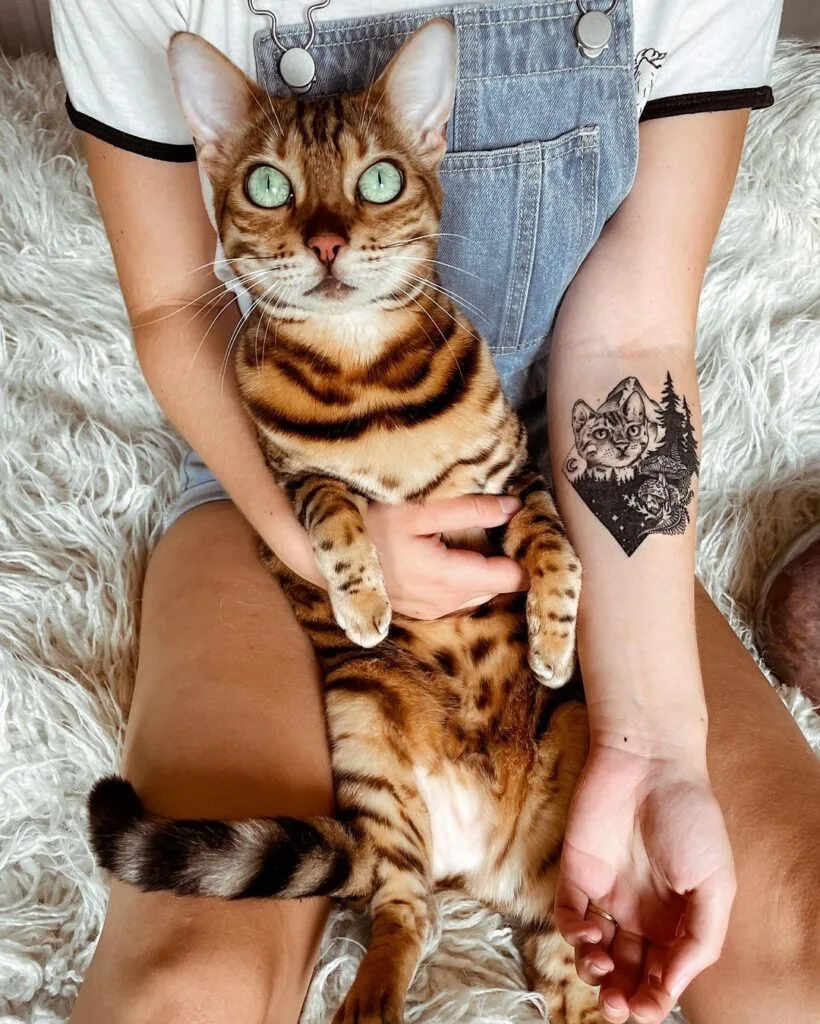 Suki Suki - The adventure cat