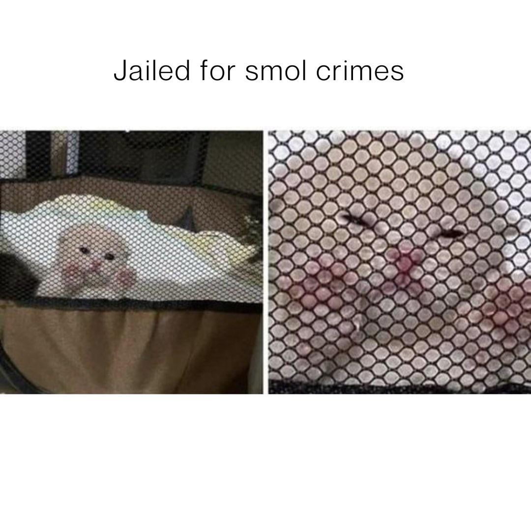 Jailed for smol cries