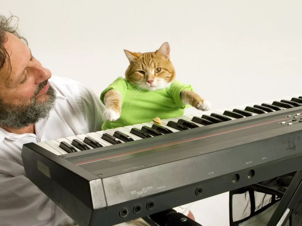 Fatso (Keyboard Cat) - The Keyboard Cat