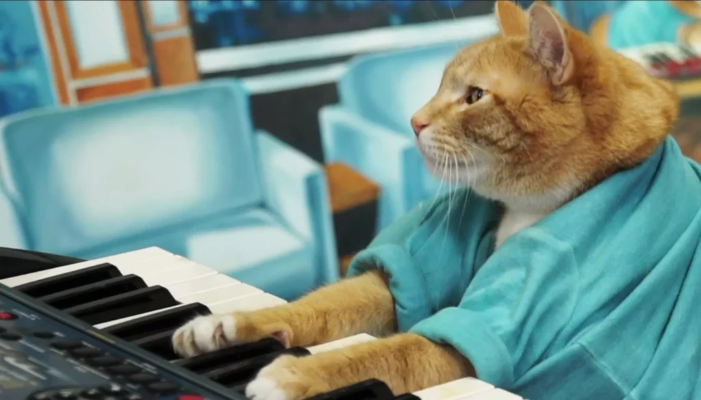 Fatso (Keyboard Cat) - The Keyboard Cat