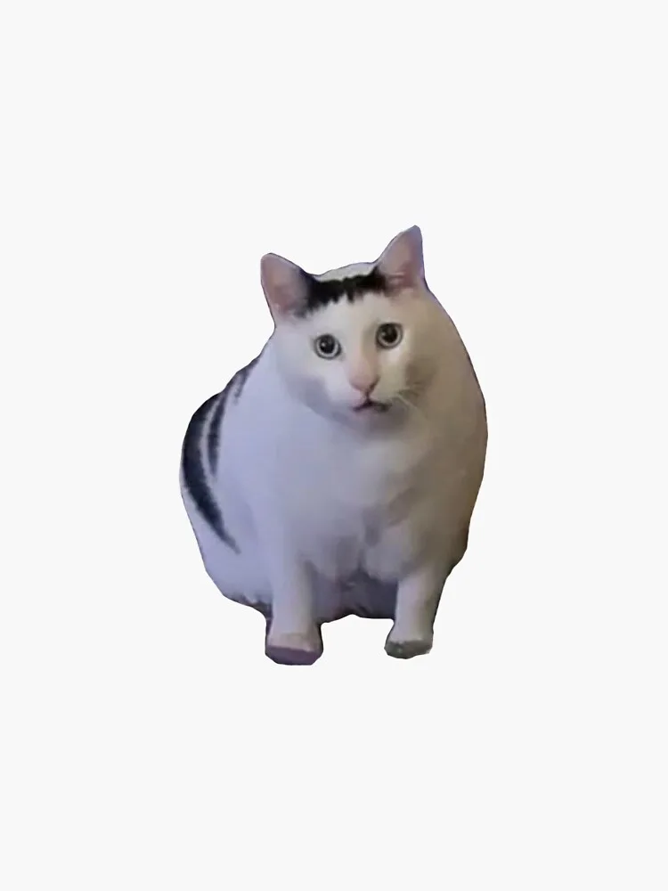 Bender Chonky Bender Chonky - The 'Huh' Cat