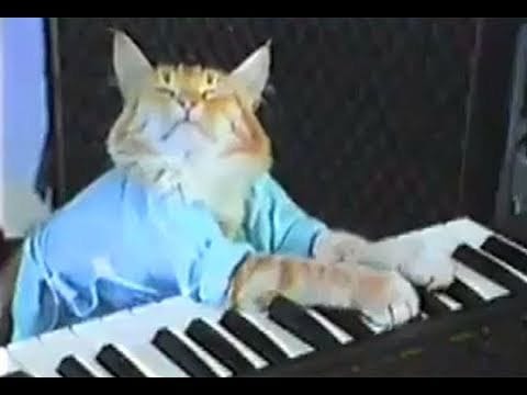 Fatso (Keyboard Cat) - The Keyboard Cat