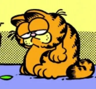 Garfield Garfield - The lasagna-loving cat