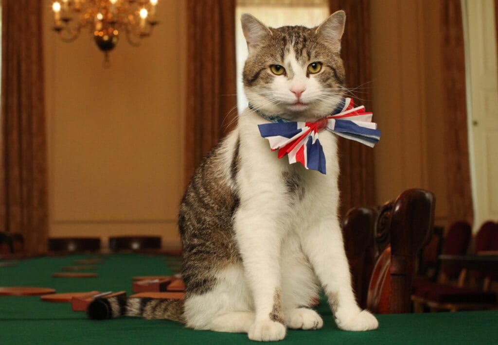 Larry - Chief Mouser to the Cabinet Office