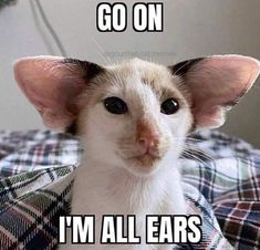 Go on im all ears