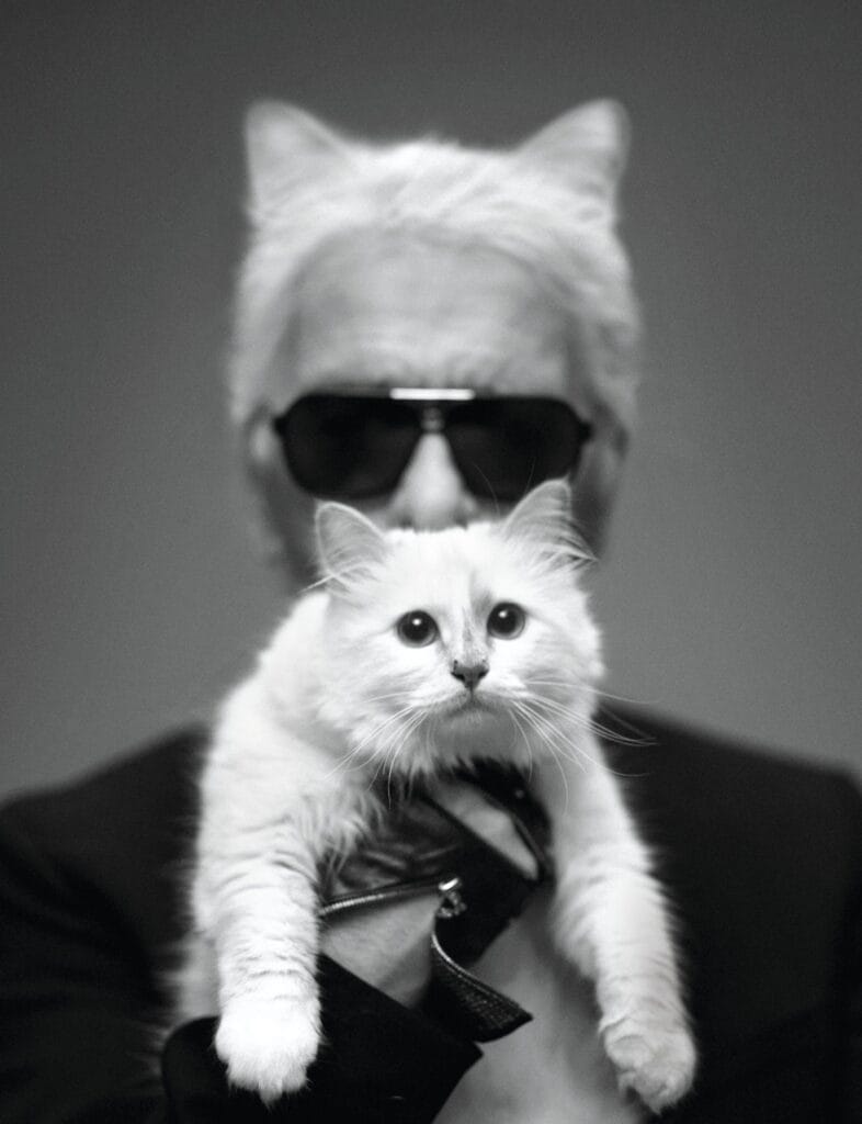 Choupette - The pet and muse of designer Karl Lagerfeld