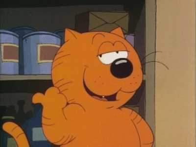 Heathcliff - The mischievous orange cat