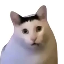 Bender Chonky Bender Chonky - The 'Huh' Cat