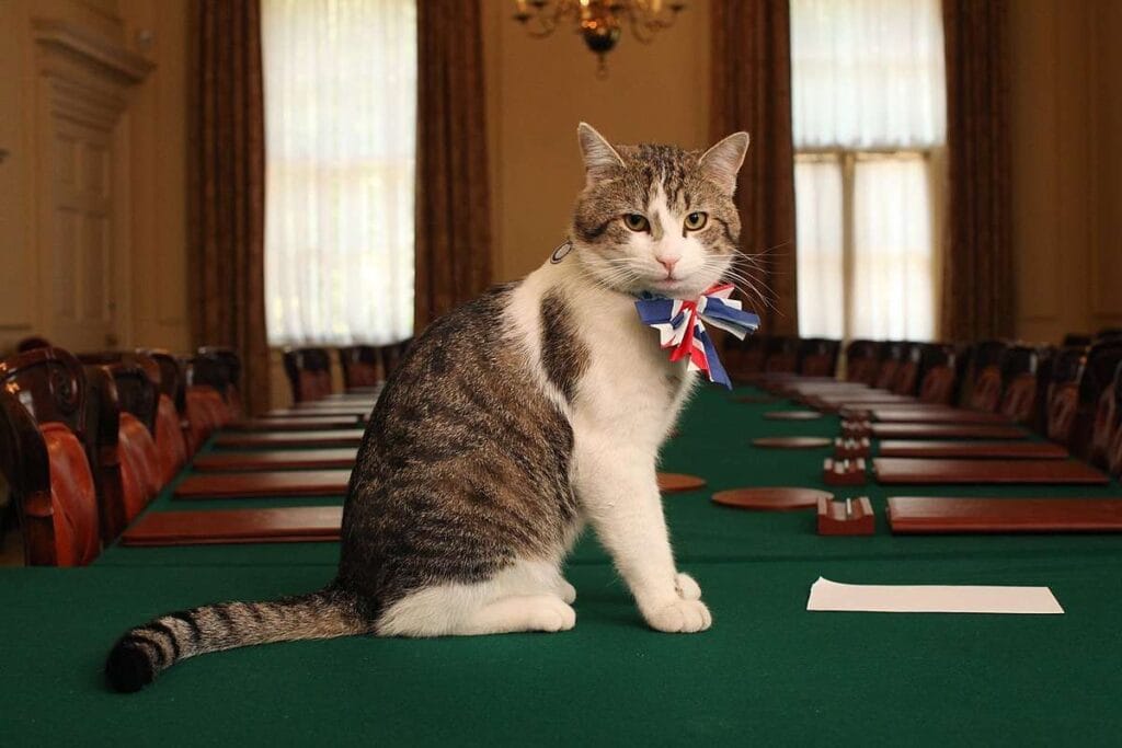 Larry - Chief Mouser to the Cabinet Office