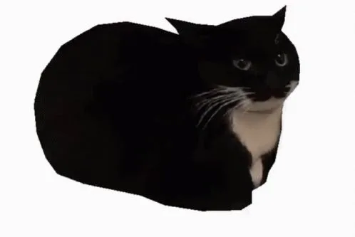 Jess Jess - Maxwell the Cat / Spinning Cat