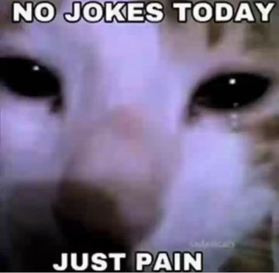 No jokes today just pain -