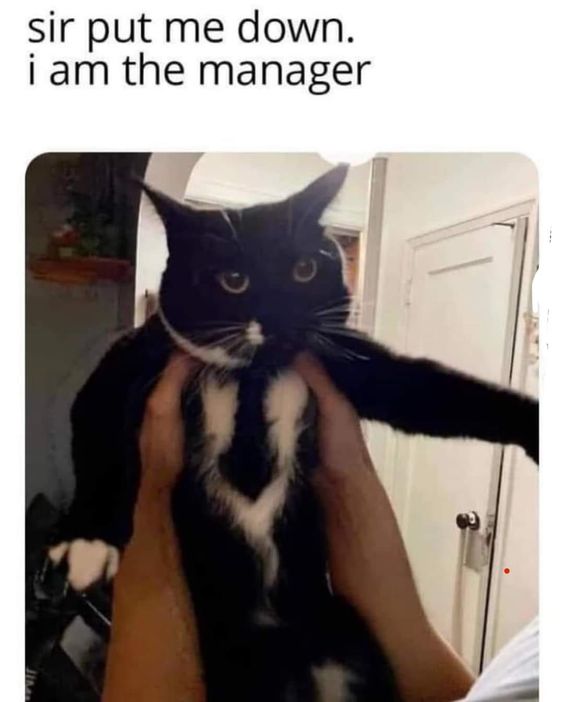 Sir put me down i am the manager -