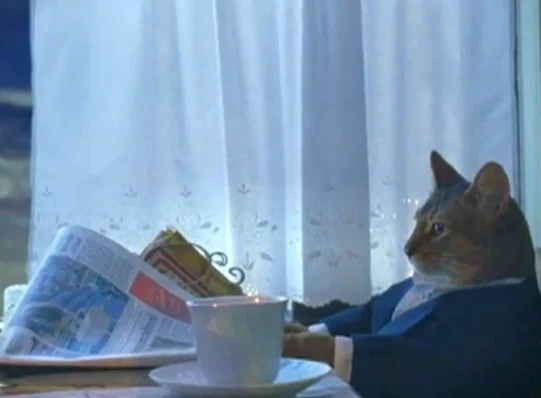 Sophisticated Cat - A distinguished gentleman