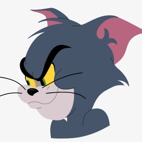 Thomas "Tom" Jasper - The cat from Tom and Jerry