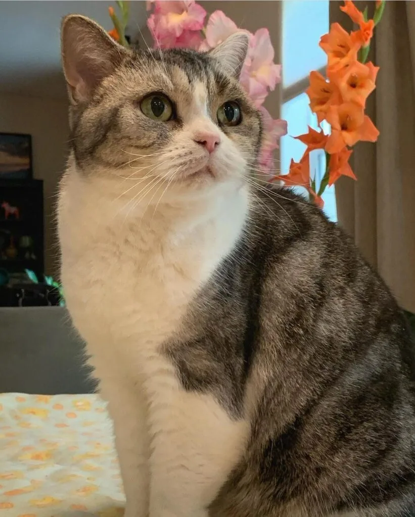 Jellie Jellie - The Queen Of Minecraft