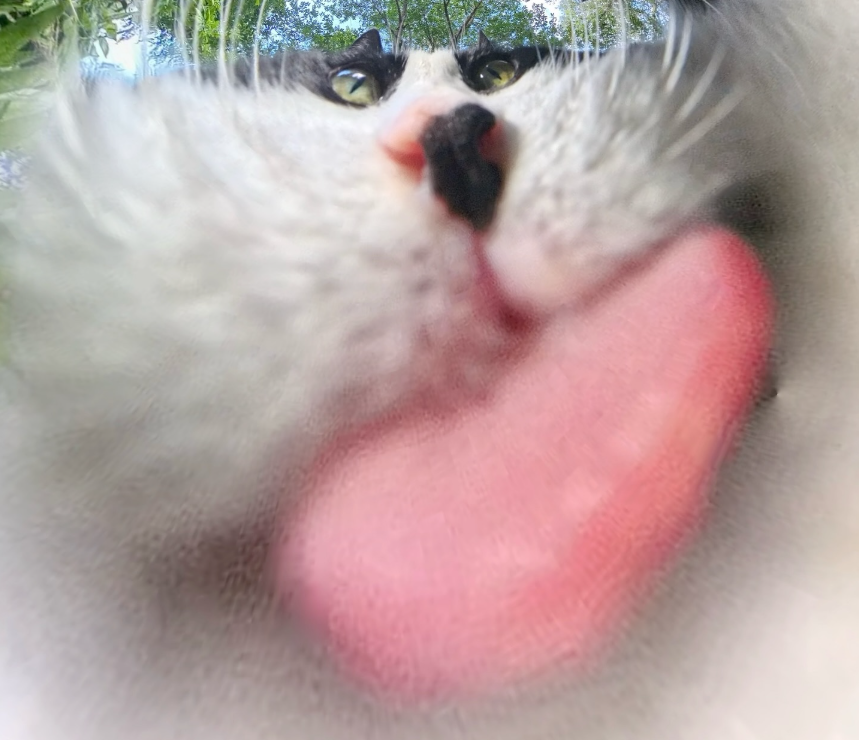 Chibi - Calm in every angle