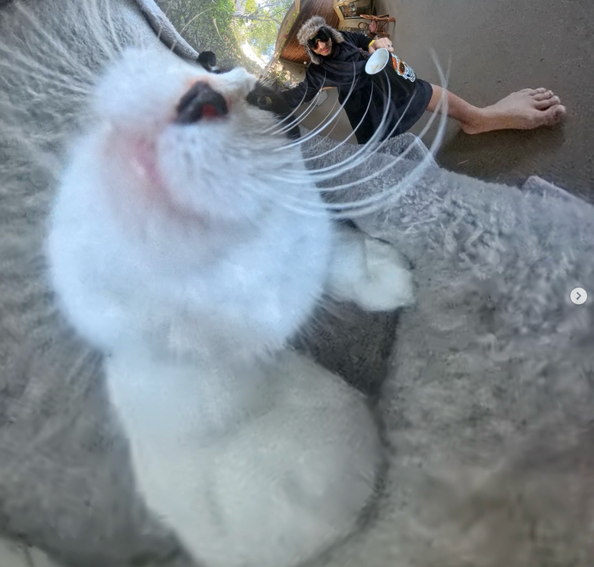 Chibi - Calm in every angle