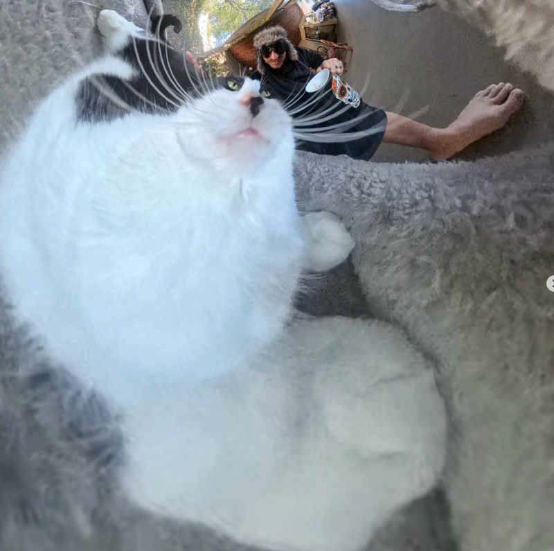 Chibi - Calm in every angle