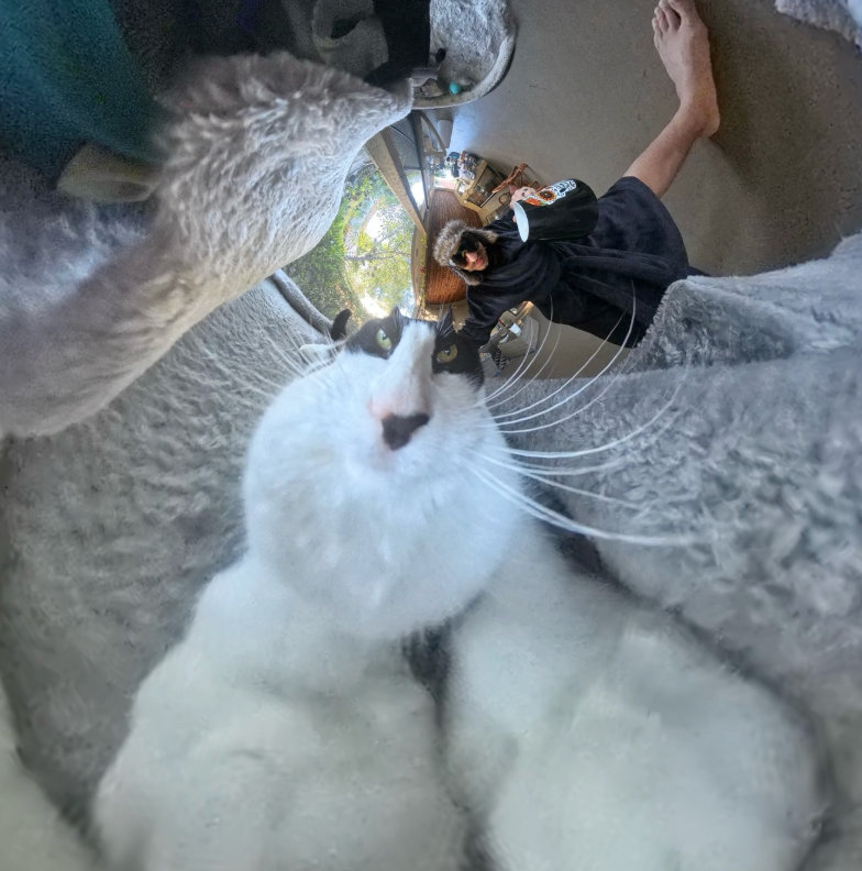 Chibi - Calm in every angle