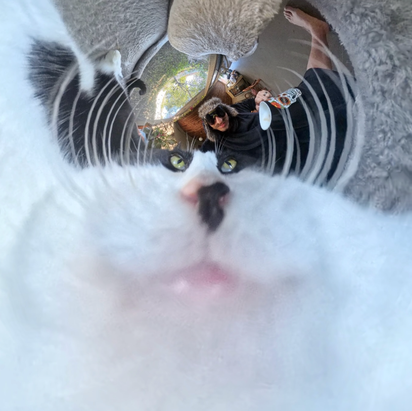 Chibi - Calm in every angle