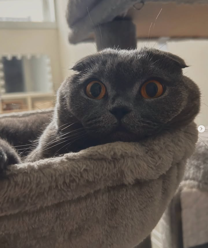 Sister Minnie - Minnie speaks her mind