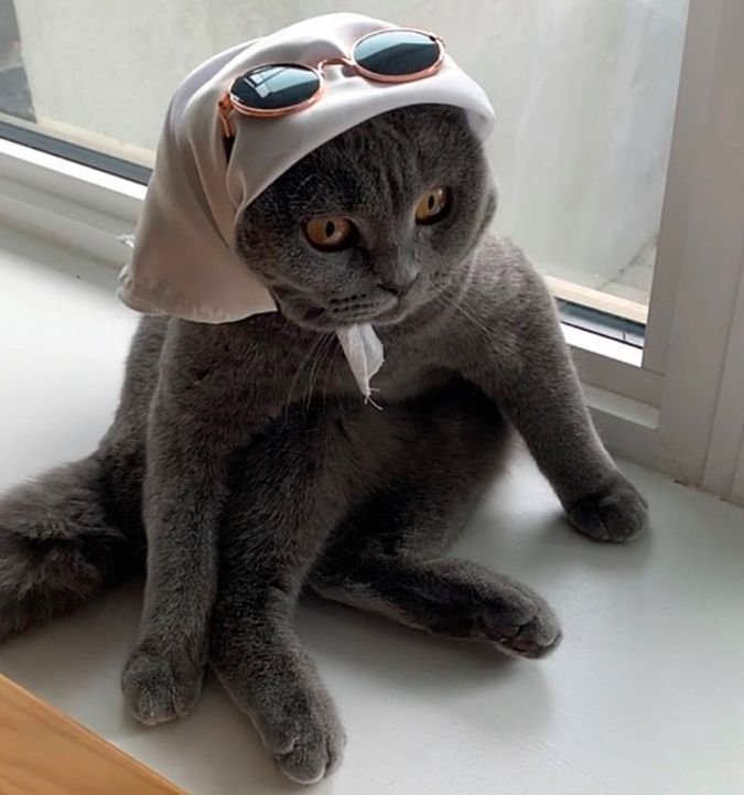 Sister Minnie - Minnie speaks her mind