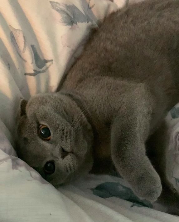 Sister Minnie - Minnie speaks her mind