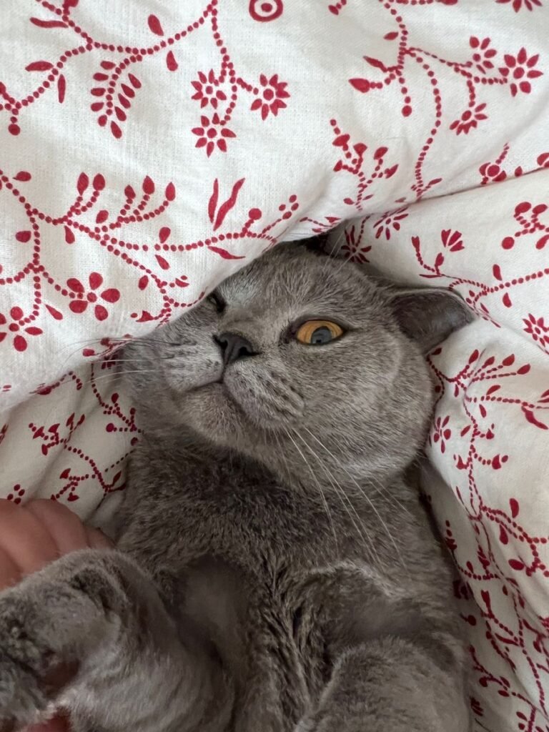 Sister Minnie - Minnie speaks her mind