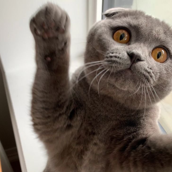 Sister Minnie - Minnie speaks her mind