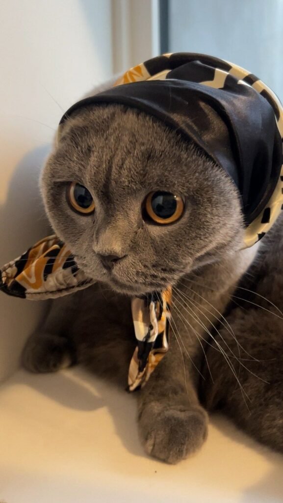 Sister Minnie - Minnie speaks her mind