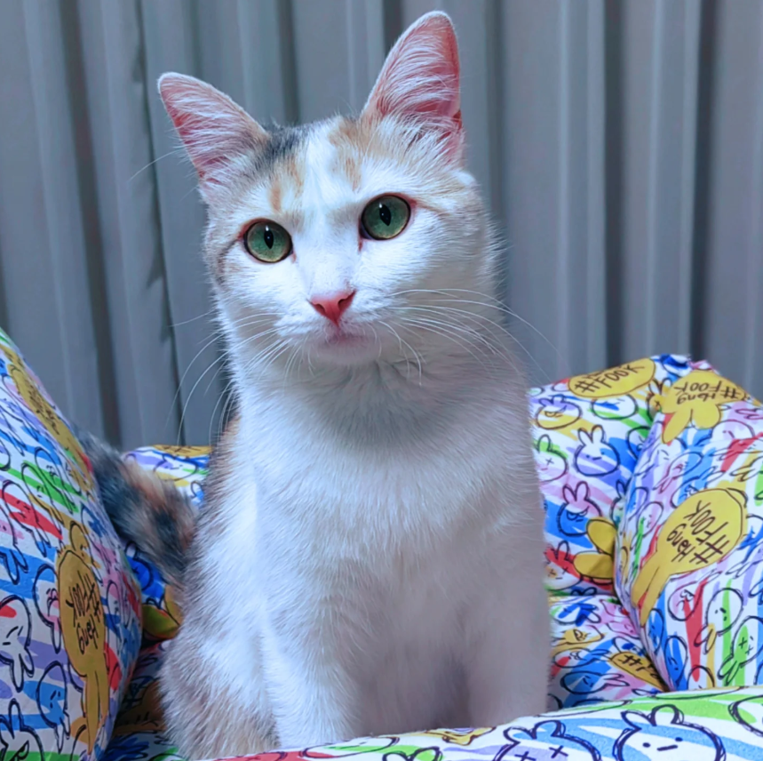 Tutu Tutu - Tututaaali