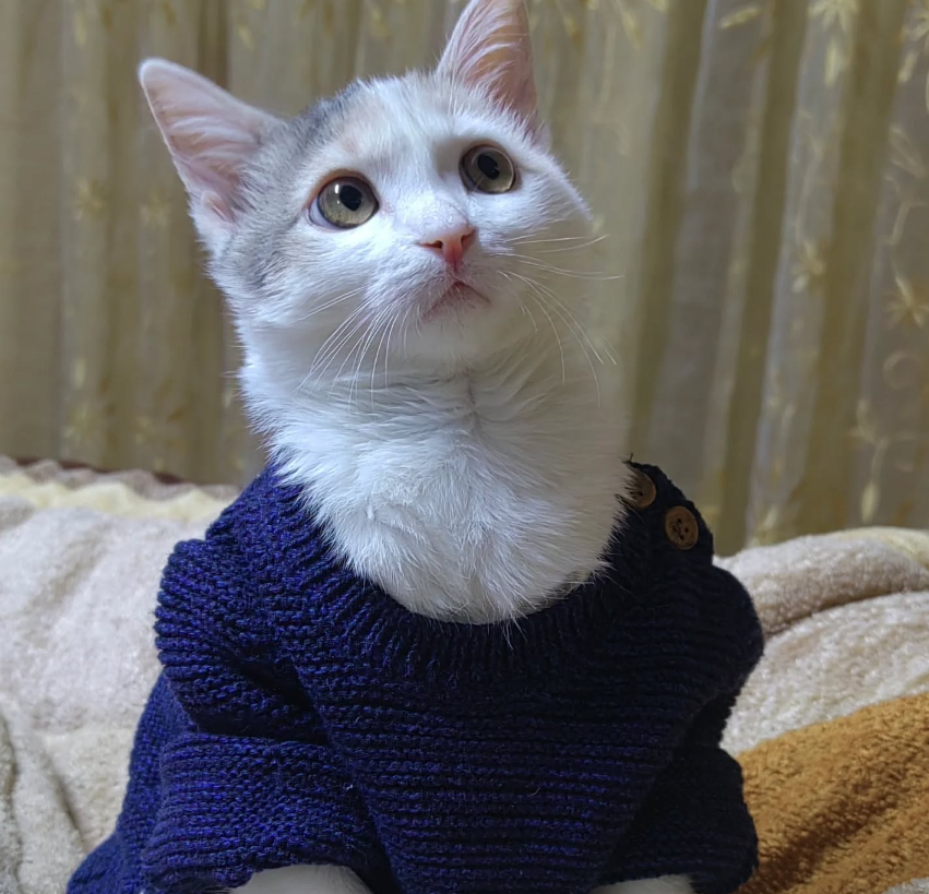 Tutu Tutu - Tututaaali